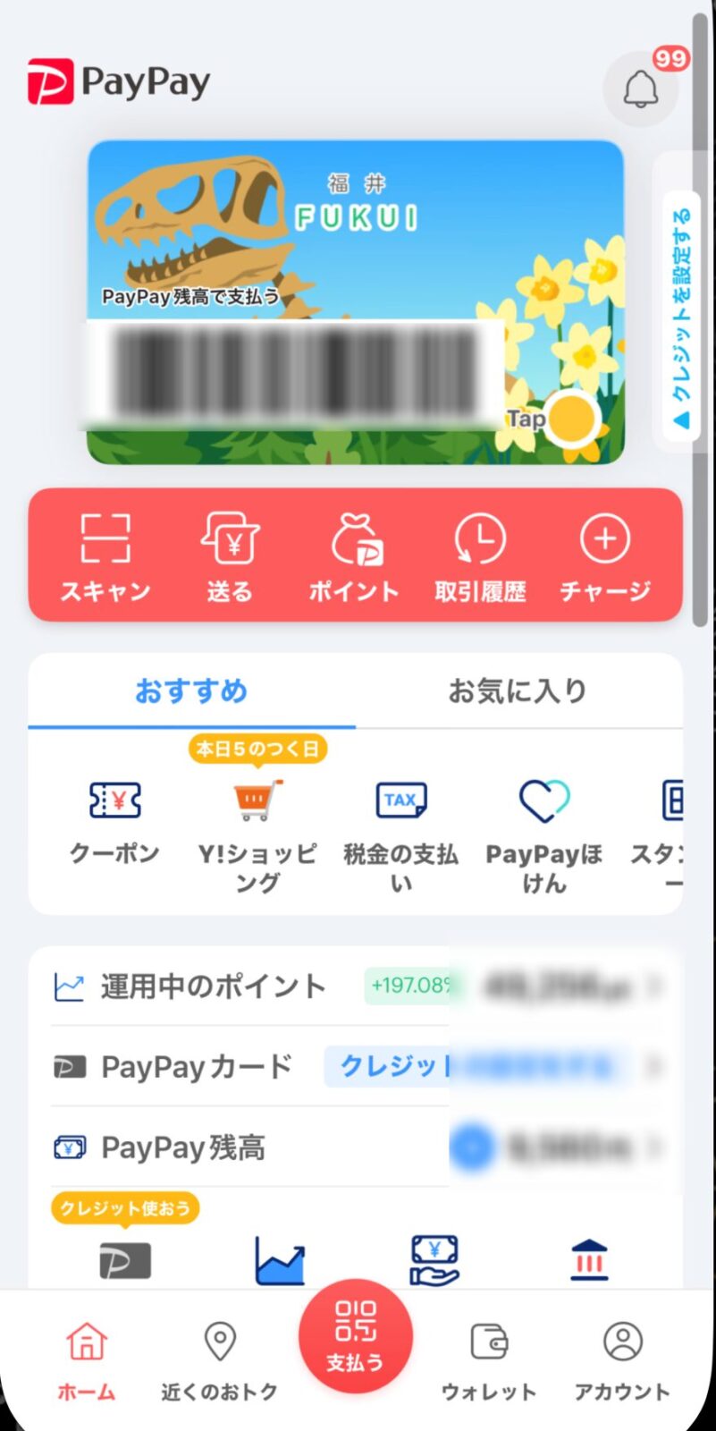 PayPayホーム画面 福井のご当地デザイン