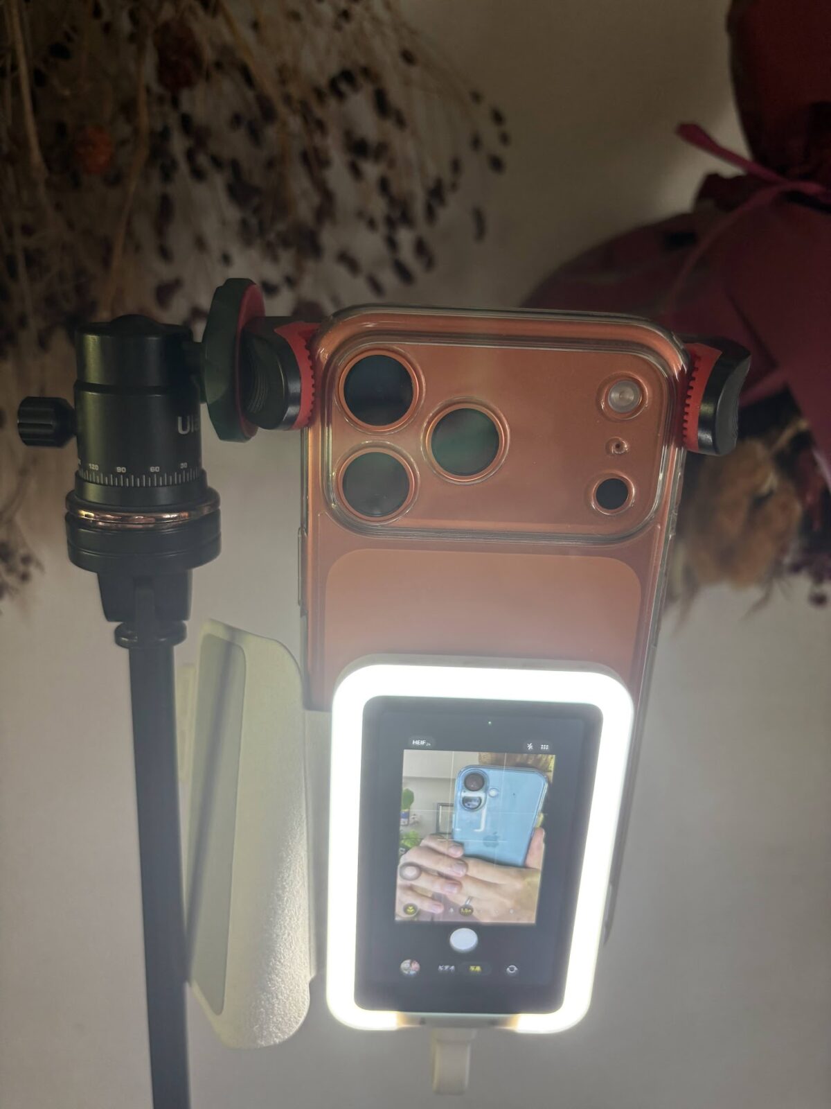 三脚セットのアップ、ライト点灯