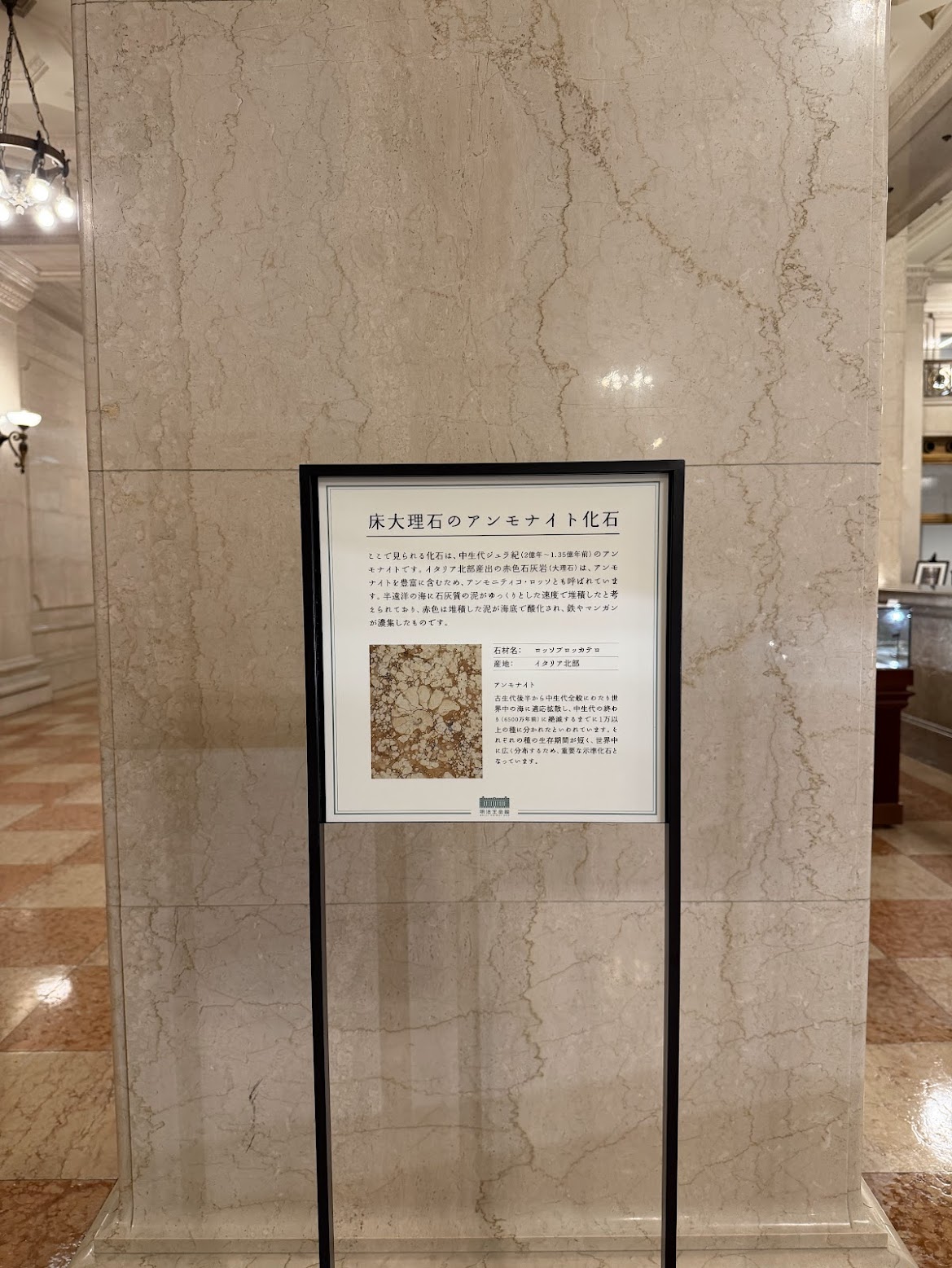 床大理石のアンモナイト化石の説明書き