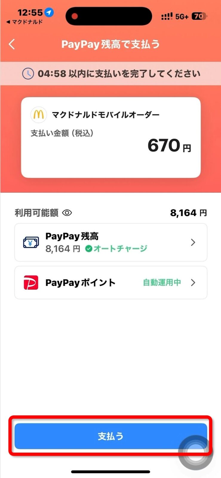 PayPay支払い画面