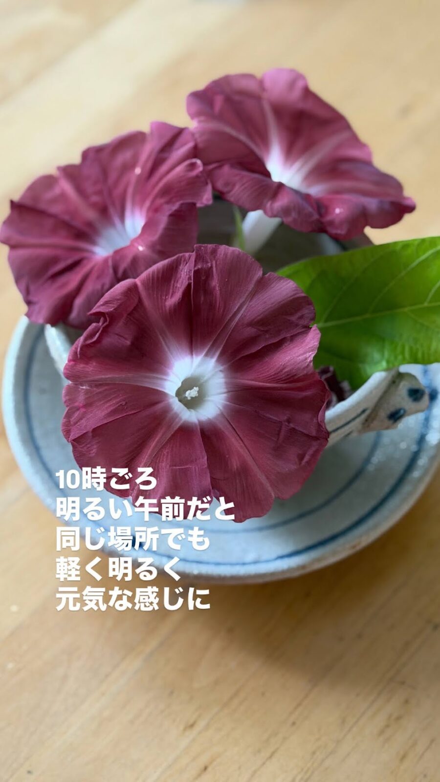 10時ごろの明るい光で撮った團十郎
