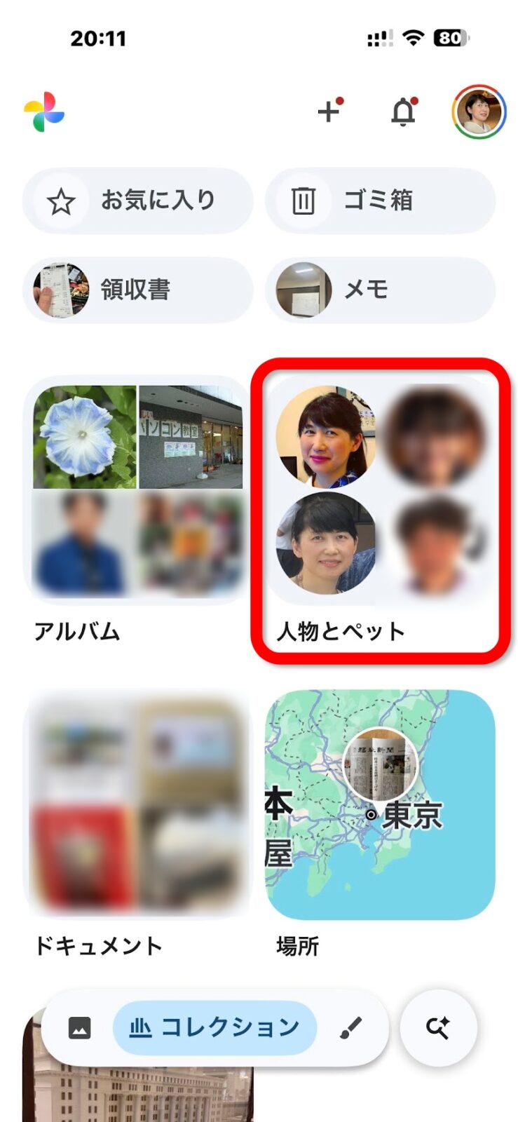 コレクションの中の人物とペット