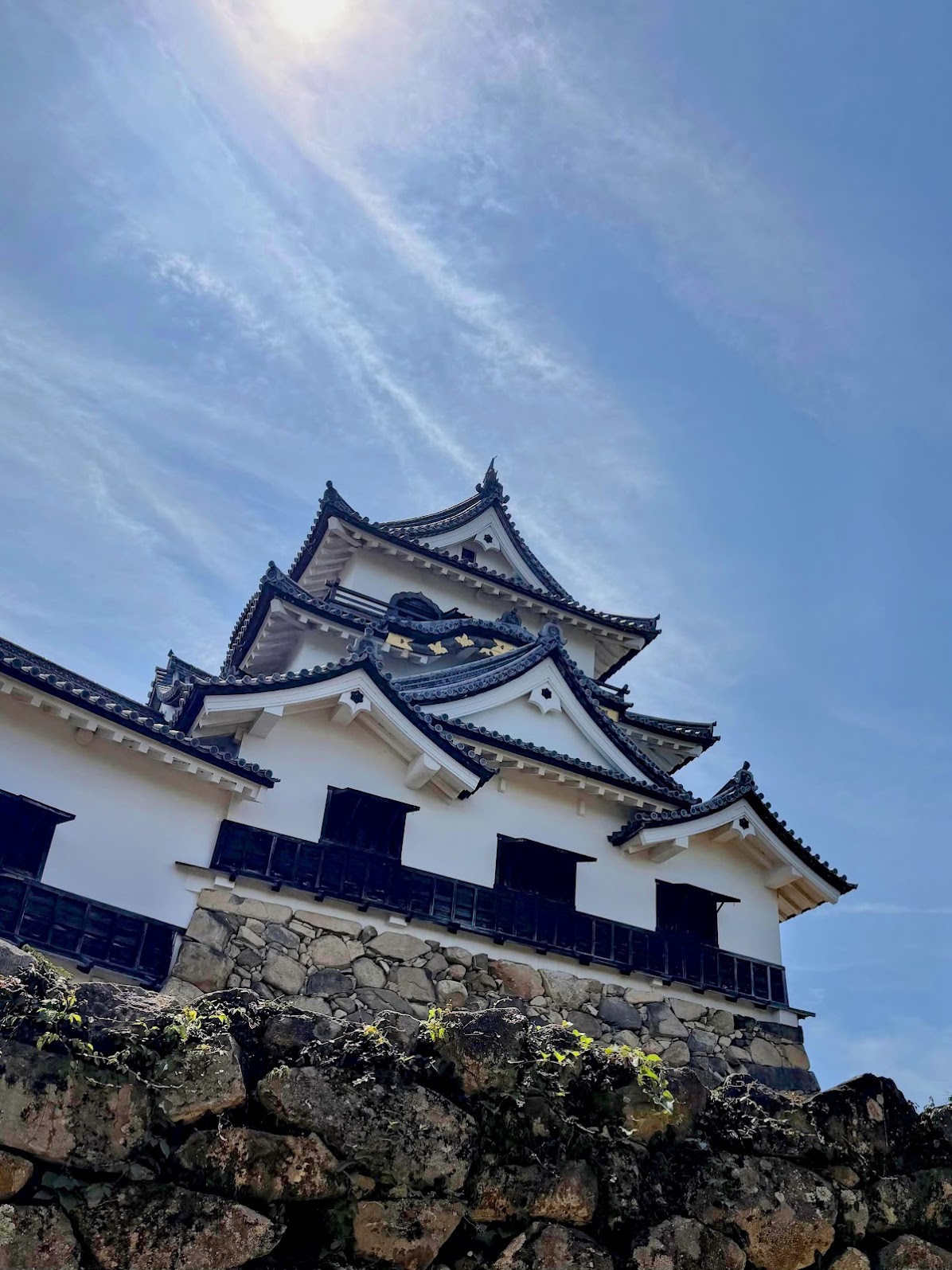彦根城の天守を見上げる