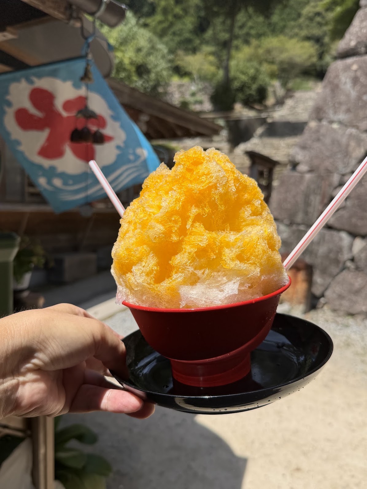 石段を下りて食べたかき氷