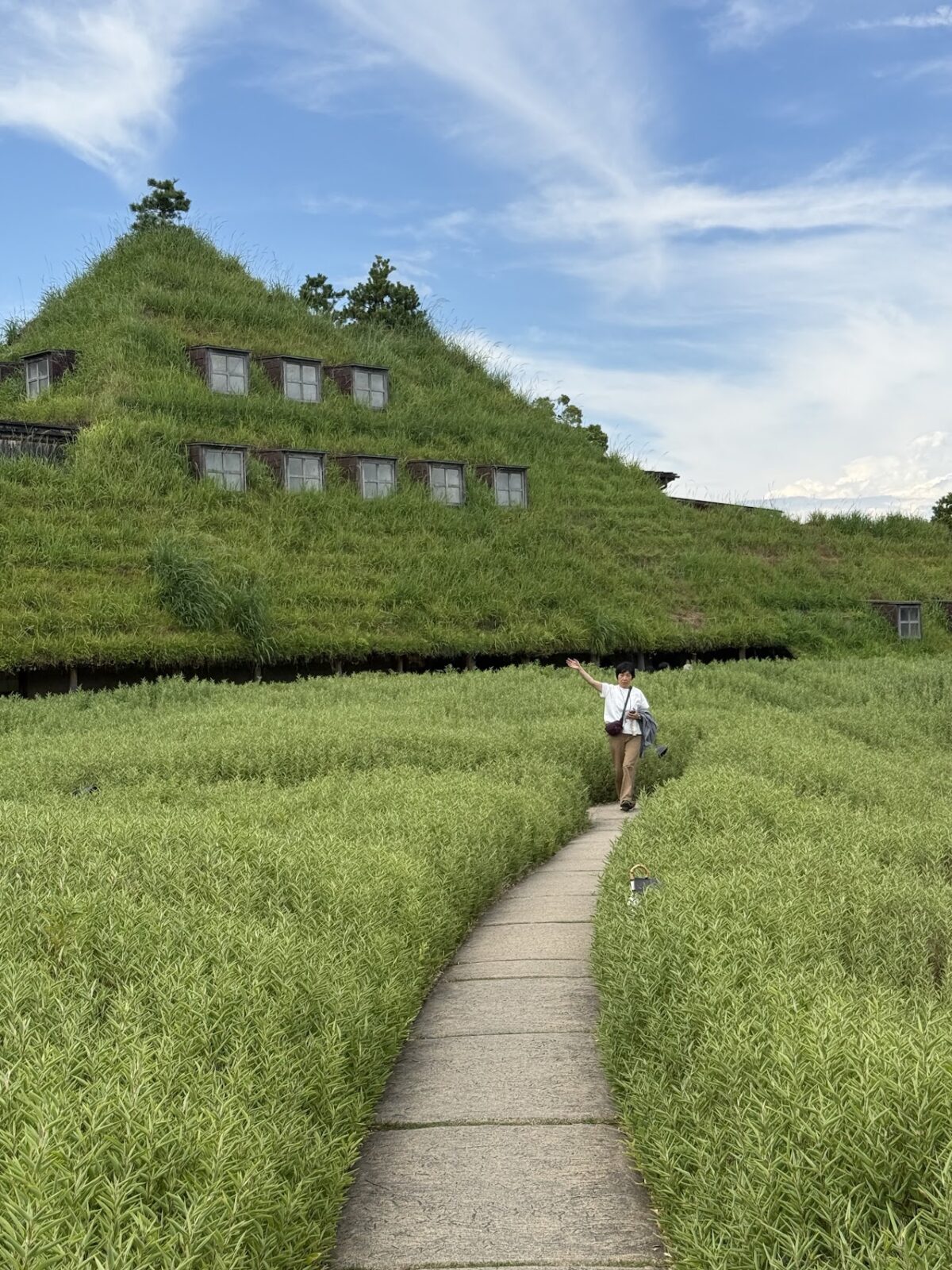 ラ コリーナ近江八幡の草屋根のメインショップ