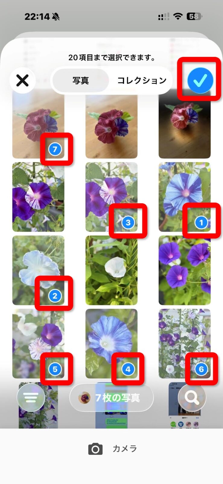 朝顔の写真を7枚選ぶ